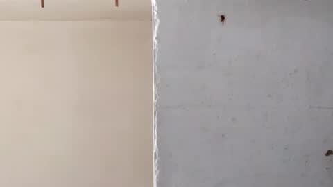 heaven_07 online show from 03-16-26, 11:36