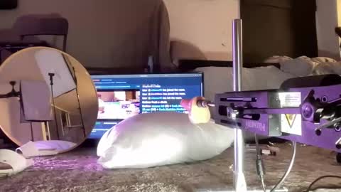 LockedThug online show from 12-15-25, 05:01