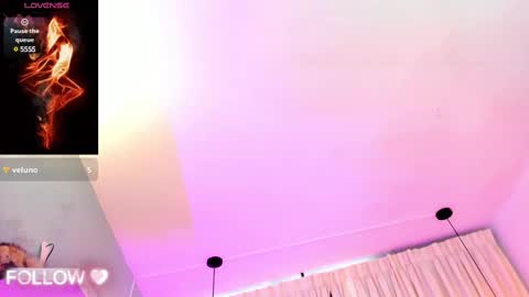              online show from 02-12-25, 09:11