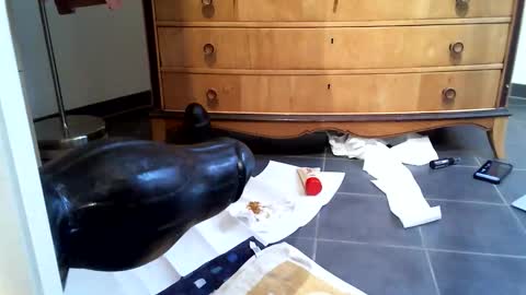 Snapshot of helisporty chatting on 11-14-25, 08:13 helisporty online show from 11-14-25, 08:13