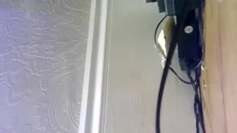 Snapshot of hellobunbunx0 chatting on 12-27-24, 04:43 hellobunbunx0 online show from 12-27-24, 04:43