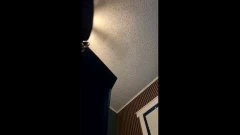 Hentai KittyXx online show from 05-20-26, 12:06
