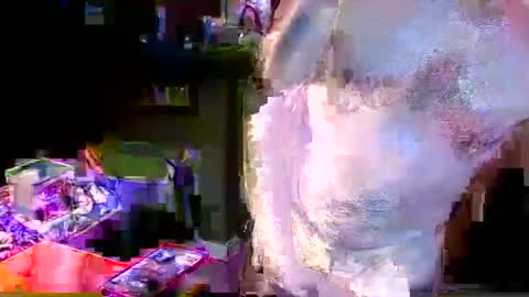 herb60657 online show from 11-04-25, 01:54