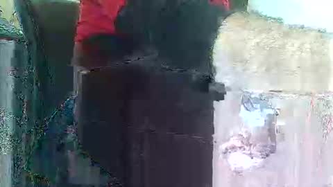 herbee510 online show from 12-20-25, 09:22