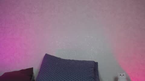 Snapshot of hesssa chatting on 12-28-24, 03:04 Hesssa Prime time The broadcasts start at 3am and 3 pm London time online show from 12-28-24, 03:04