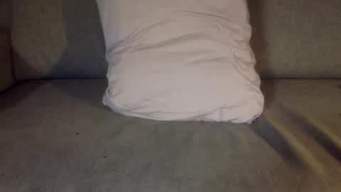 fit uk decorator online show from 11-07-25, 08:42