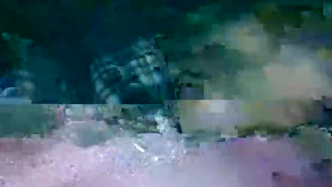 Snapshot of hi_life850 chatting on 02-17-26, 01:13 MR. Bation online show from 02-17-26, 01:13