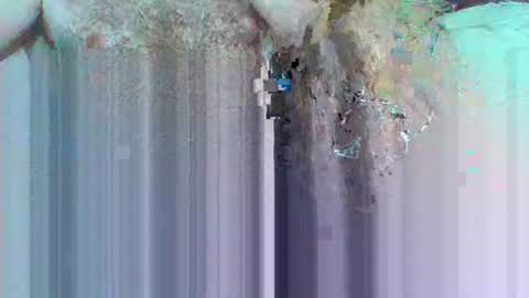 hi_to_you online show from 06-03-26, 08:17