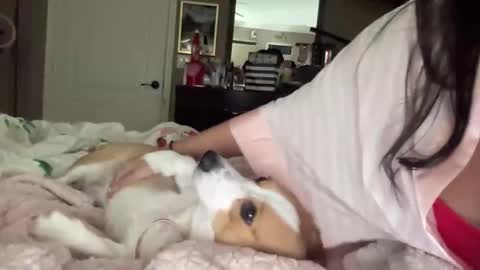 HiddenR0se online show from 02-14-26, 03:14