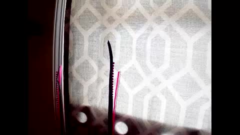 Highnesscali37 online show from 12-07-24, 08:16