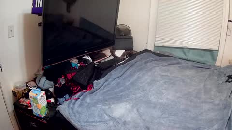 Highnesscali37 online show from 12-15-24, 12:28