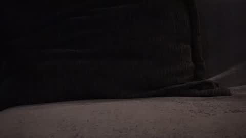 Snapshot of hikinks chatting on 11-12-25, 03:18 hikinxxx online show from 11-12-25, 03:18