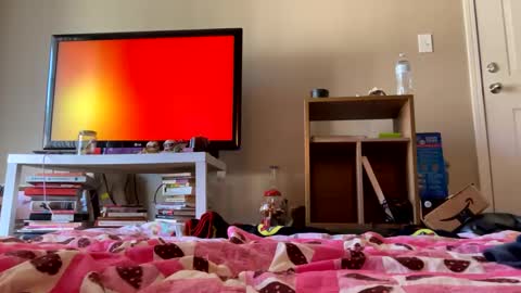 angelbabi online show from 12-11-24, 08:07