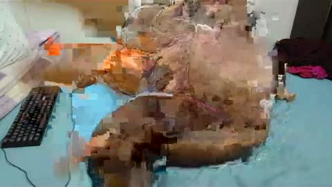 hips2sexy online show from 12-21-24, 08:00