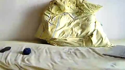 Snapshot of hol15 chatting on 10-22-25, 07:30 hol15 online show from 10-22-25, 07:30