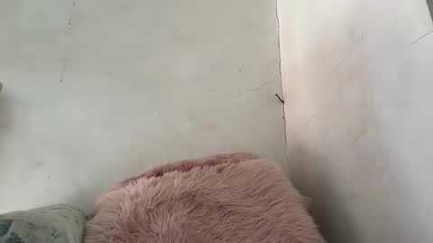 holly_wyn online show from 03-24-26, 12:15