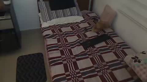 Holofernes45gil online show from 03-28-26, 07:30