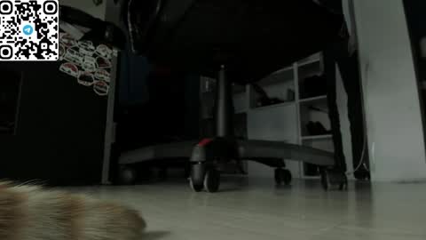 holy_mistresss online show from 04-19-26, 07:40