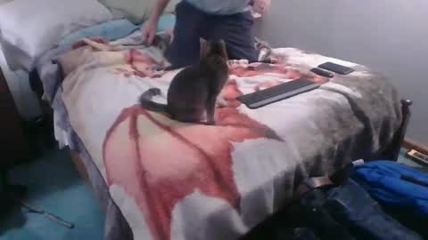 Snapshot of homer4038 chatting on 10-04-25, 12:41 Sebastians Mess online show from 10-04-25, 12:41