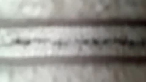 Snapshot of honeyboy010902 chatting on 02-10-26, 04:00 honeyboy010902 online show from 02-10-26, 04:00