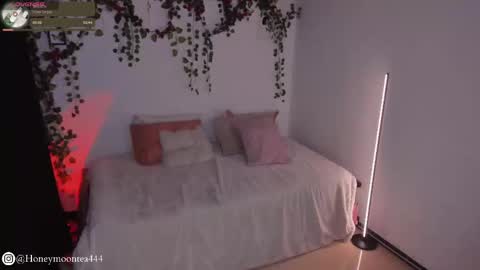 Snapshot of honeymoontea chatting on 02-24-25, 10:14 online show from 02-24-25, 10:14