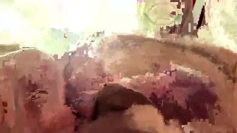 hornieecum online show from 03-02-26, 11:17