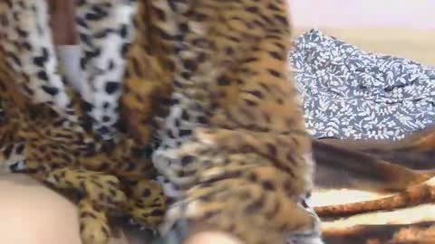 Snapshot of horny_hey chatting on 03-02-25, 02:43 Serena online show from 03-02-25, 02:43