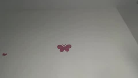 Iris online show from 02-21-26, 07:48