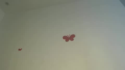 Iris online show from 04-03-26, 07:34