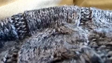 Snapshot of hornyallthetime6969696969 chatting on 03-02-25, 07:12 Tiny cock online show from 03-02-25, 07:12