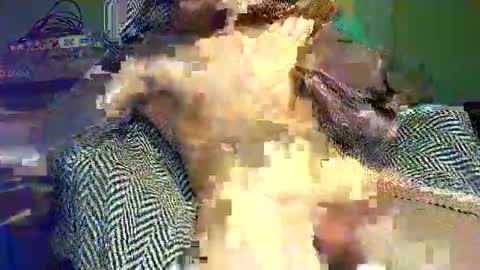 hornycocxxx online show from 03-09-25, 01:14