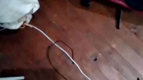 Snapshot of hornypaul84 chatting on 11-05-25, 07:47 hornypaul84 online show from 11-05-25, 07:47