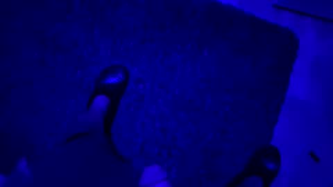 hornystroker21 online show from 10-19-25, 02:01