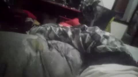 Snapshot of horsebrowm chatting on 01-01-25, 11:29 horsebrowm online show from 01-01-25, 11:29