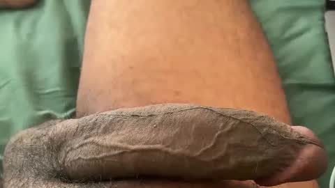 Bbc horsey online show from 01-12-26, 07:19