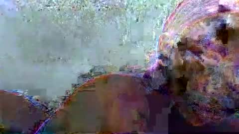 hotagrace online show from 02-14-26, 07:16