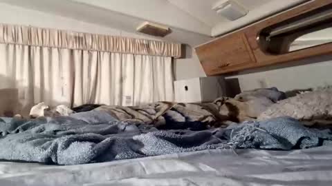 HotAmyMike online show from 11-11-25, 02:39