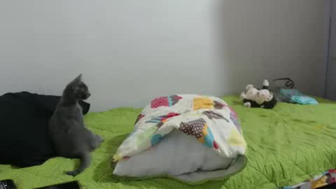 Hot and PowerHOPE U MISS ME online show from 01-14-25, 06:45