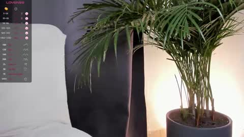 Andrew xdres08 online show from 01-28-25, 03:15