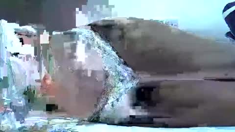 hotberry_7 online show from 04-06-26, 08:37