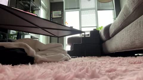 Snapshot of hotgirlbigbutt chatting on 05-23-26, 11:47 hotgirlbigbutt online show from 05-23-26, 11:47