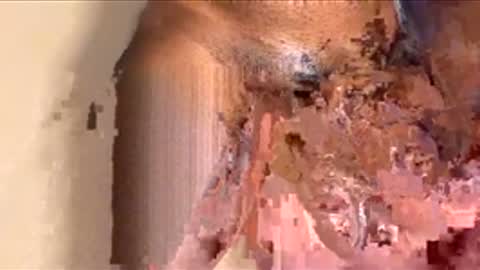 Snapshot of houseesposo chatting on 11-24-25, 09:36 houseesposo online show from 11-24-25, 09:36