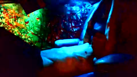 ask me online show from 01-12-25, 11:28