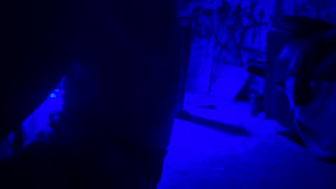 ask me online show from 04-21-26, 01:42