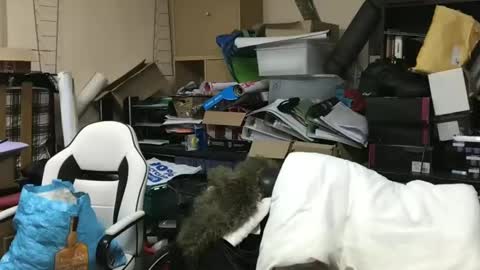 howsthat2024 online show from 01-18-25, 08:30