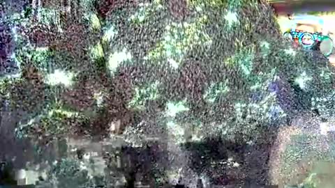 hp58649blabla online show from 09-24-25, 07:55