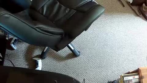 hrnysteve online show from 08-02-26, 01:09