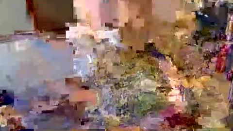 hugecock_caramel online show from 05-27-26, 07:49