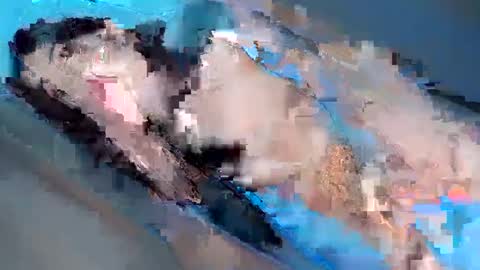 Snapshot of hugecockyanny chatting on 02-03-25, 01:08 Yhanie online show from 02-03-25, 01:08