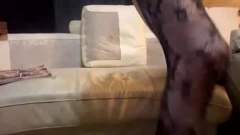 huippari online show from 12-15-25, 11:09